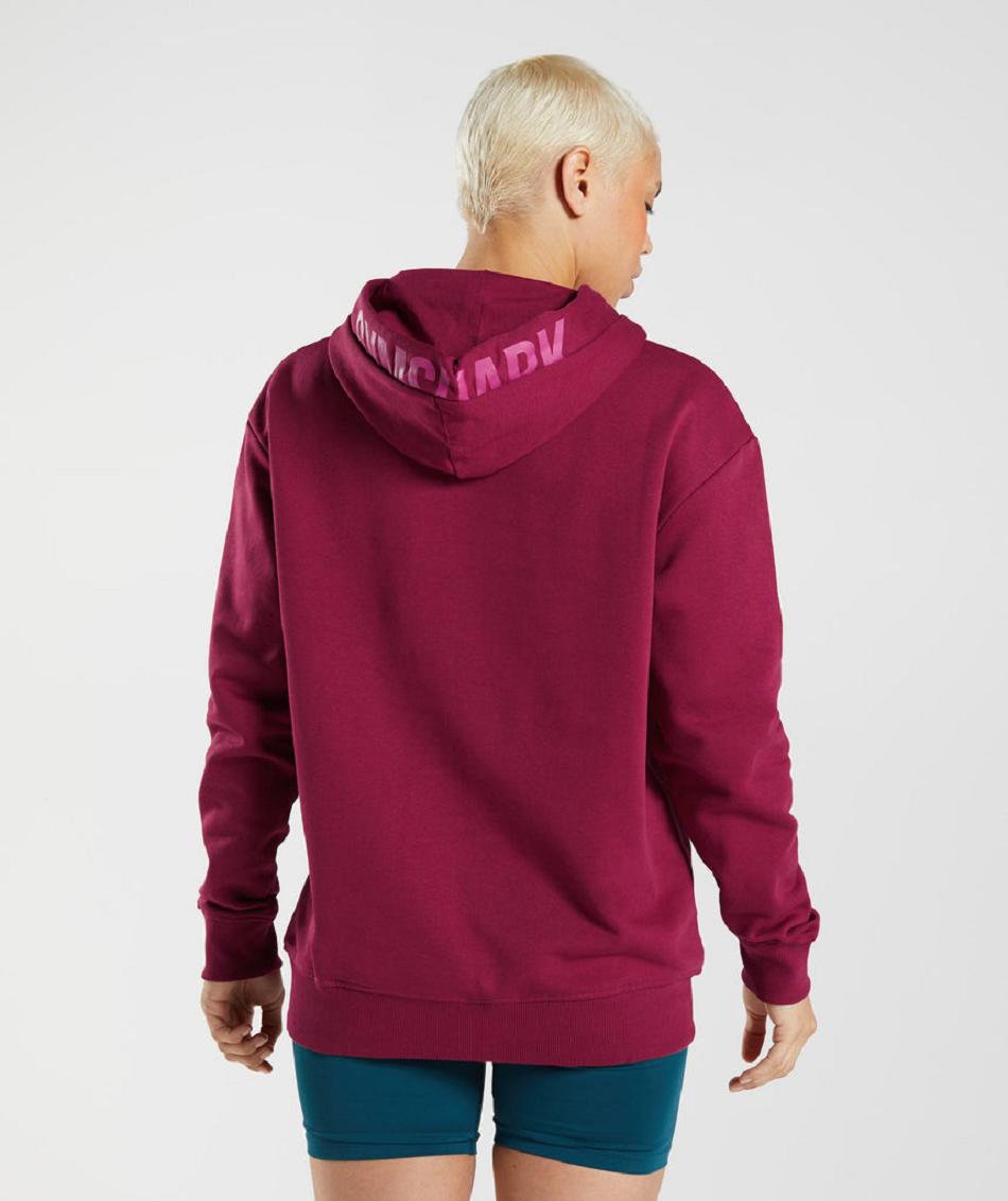 Gymshark Graphics Fraction Ženske Majica S Kapuljačom Roze | HR 3557OKI